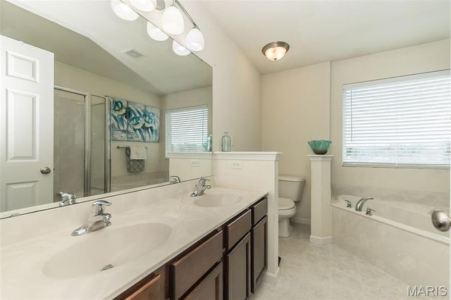 130 Riverdale Woods Circle, O'fallon, MO 63366
