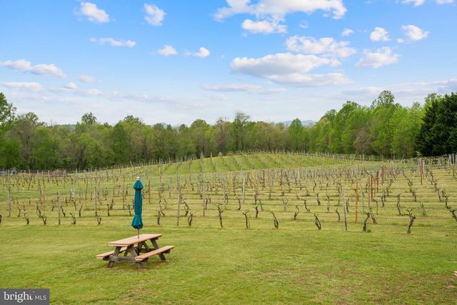 92 SCHOOLHOUSE RD, Washington, VA 22747