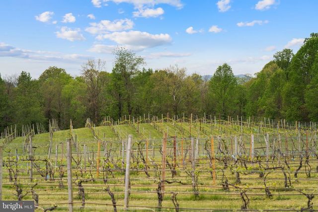 92 SCHOOLHOUSE RD, Washington, VA 22747