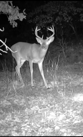 27 Holiday Street, Eufaula, OK 74432