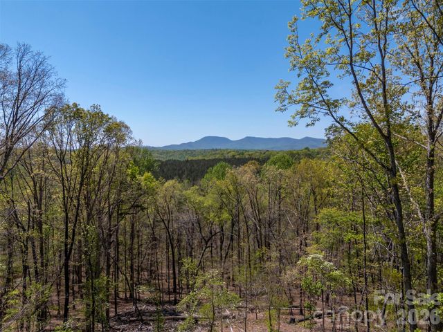 2825 River Road, Columbus, NC 28722