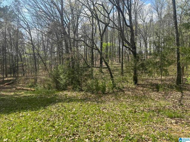 75 MARY LEE LANE, Alpine, AL 35014