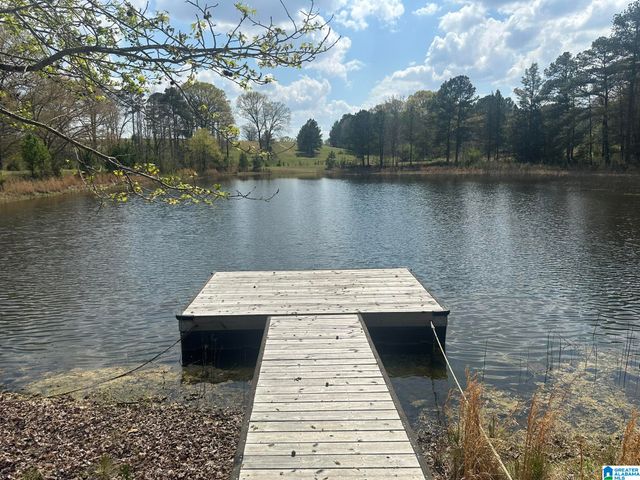 75 MARY LEE LANE, Alpine, AL 35014