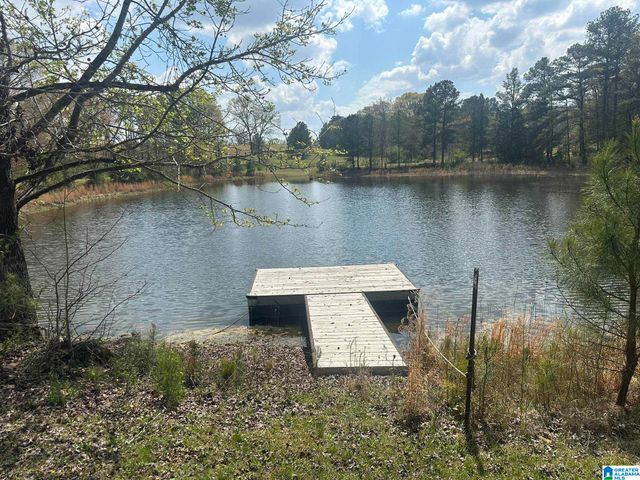 75 MARY LEE LANE, Alpine, AL 35014