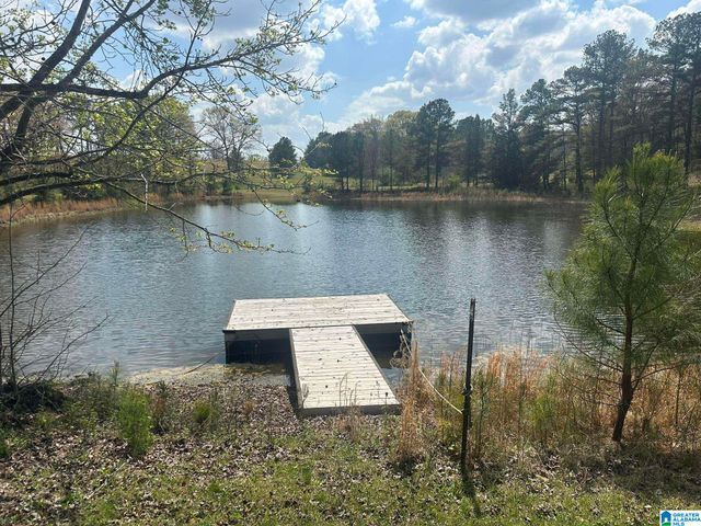 75 MARY LEE LANE, Alpine, AL 35014