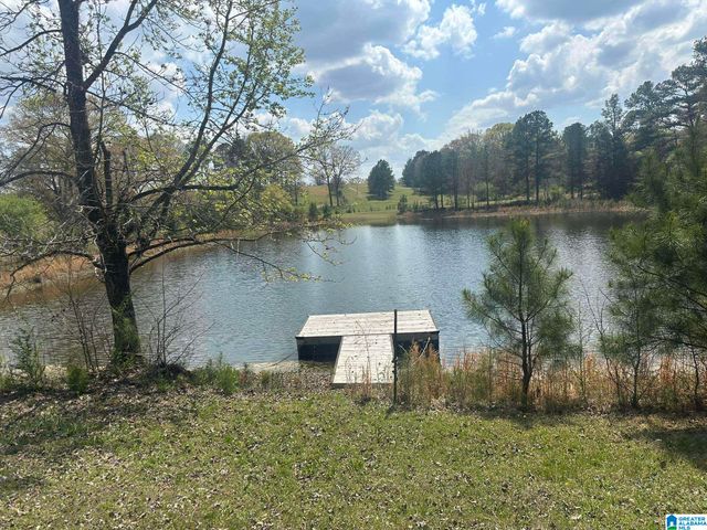 75 MARY LEE LANE, Alpine, AL 35014