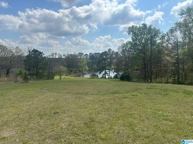 75 MARY LEE LANE, Alpine, AL 35014