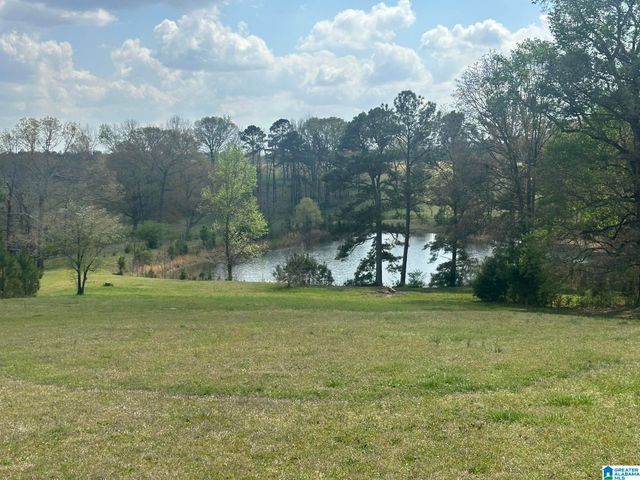 75 MARY LEE LANE, Alpine, AL 35014