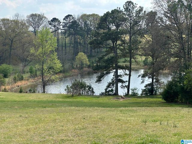 75 MARY LEE LANE, Alpine, AL 35014