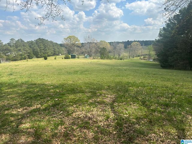 75 MARY LEE LANE, Alpine, AL 35014