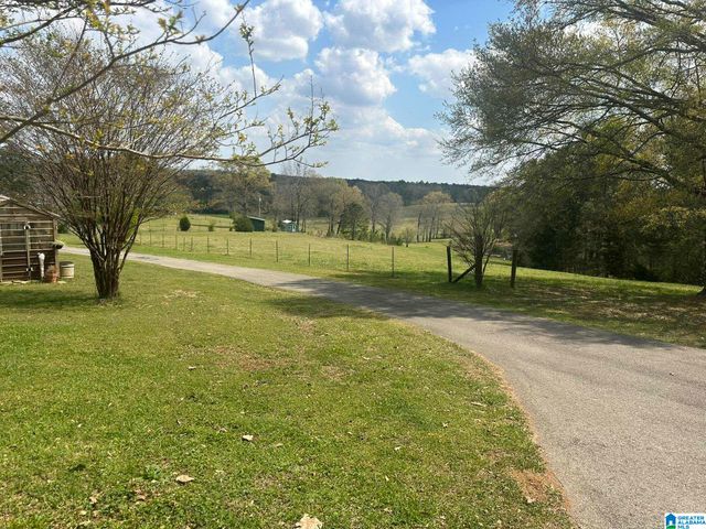 75 MARY LEE LANE, Alpine, AL 35014