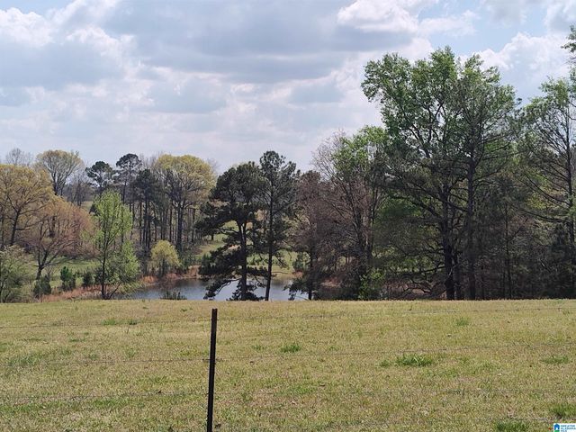 75 MARY LEE LANE, Alpine, AL 35014