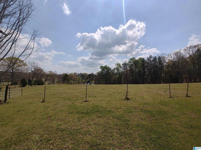 75 MARY LEE LANE, Alpine, AL 35014