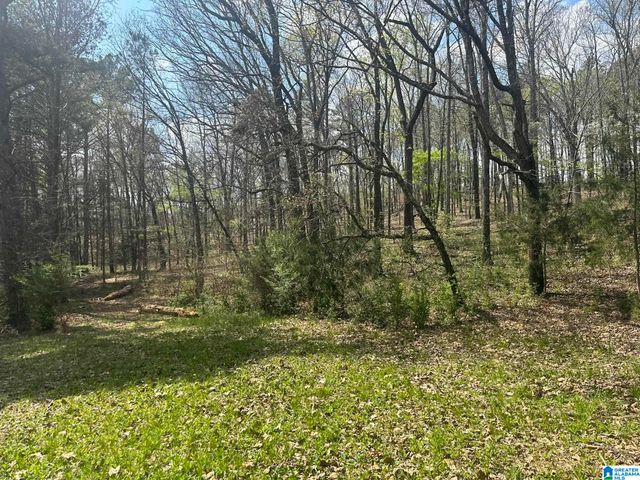 75 MARY LEE LANE, Alpine, AL 35014