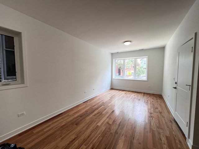 226 W 24th Street 1, Chicago, IL 60616