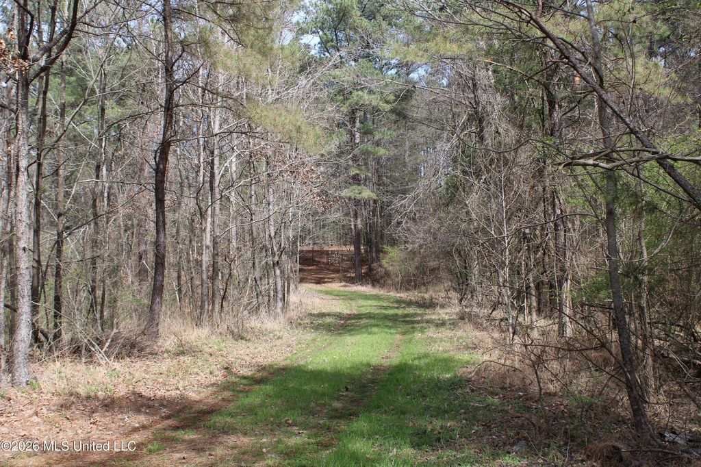 4500 Jaybird Road, Hernando, MS 38632 — exterior