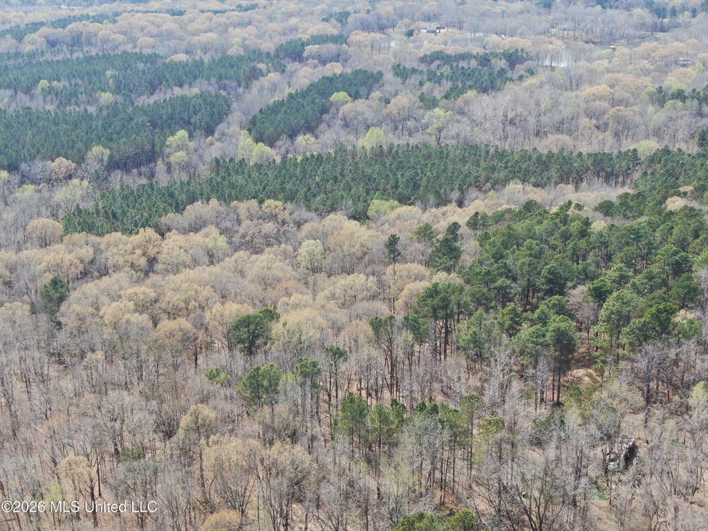 4500 Jaybird Road, Hernando, MS 38632 — photo 2