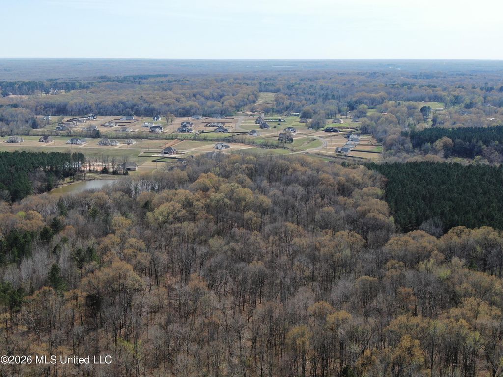 4500 Jaybird Road, Hernando, MS 38632 — photo 3