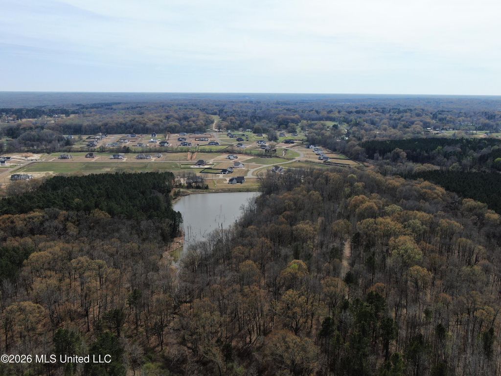 4500 Jaybird Road, Hernando, MS 38632 — photo 4