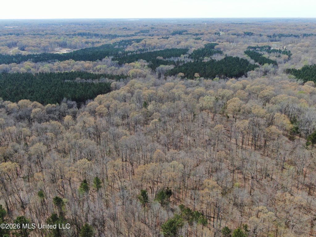 4500 Jaybird Road, Hernando, MS 38632 — photo 5