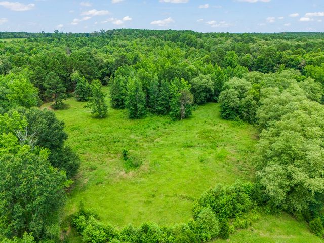 4834 FM 2088, Gilmer, TX 75644