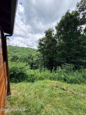 371 Black Bear Trail, Topton, NC 28781