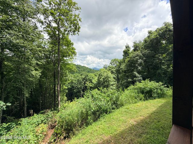 371 Black Bear Trail, Topton, NC 28781