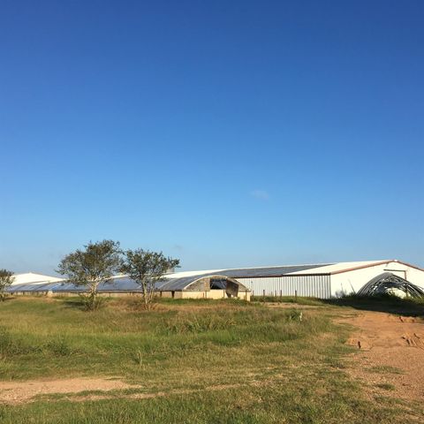 00004 Nelson Road, Hempstead, TX 77445