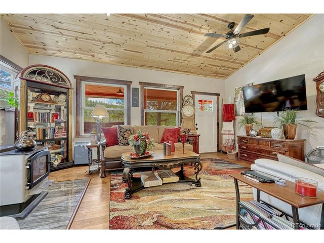 133 Brown St, Bailey, CO 80421