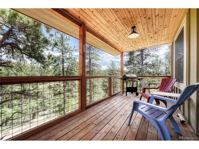 133 Brown St, Bailey, CO 80421