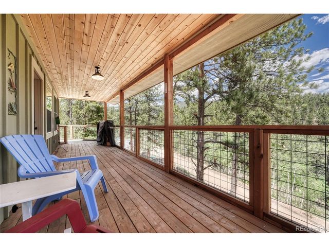 133 Brown St, Bailey, CO 80421