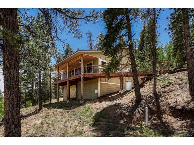 133 Brown St, Bailey, CO 80421