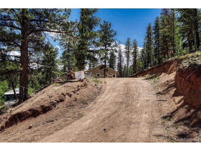 133 Brown St, Bailey, CO 80421