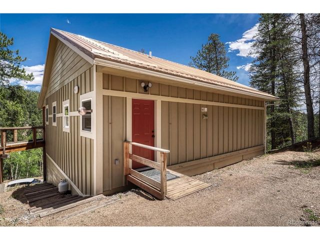 133 Brown St, Bailey, CO 80421