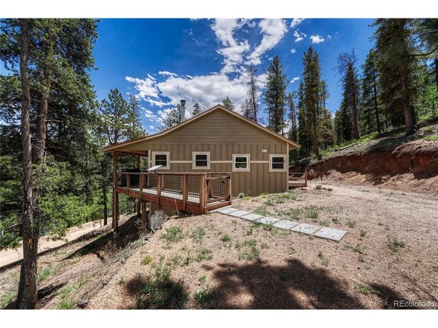 133 Brown St, Bailey, CO 80421