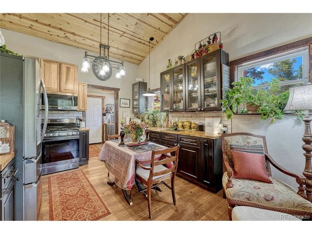 133 Brown St, Bailey, CO 80421