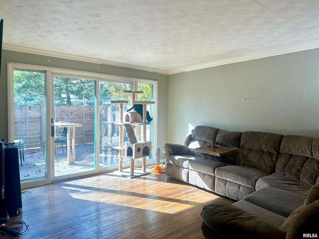 1212 W Schwartz Street, Carbondale, IL 62901