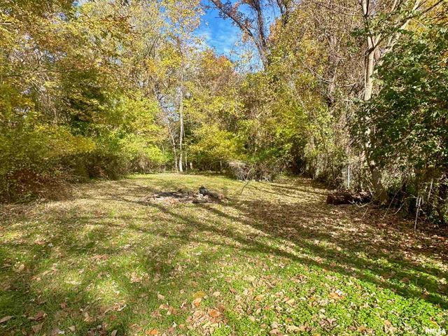 1212 W Schwartz Street, Carbondale, IL 62901