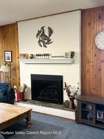 308 Shaker Ridge Drive, Canaan, NY 12029