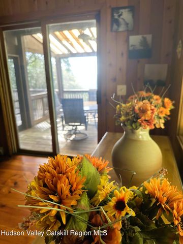 308 Shaker Ridge Drive, Canaan, NY 12029