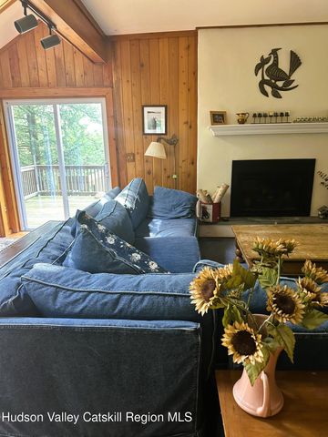 308 Shaker Ridge Drive, Canaan, NY 12029