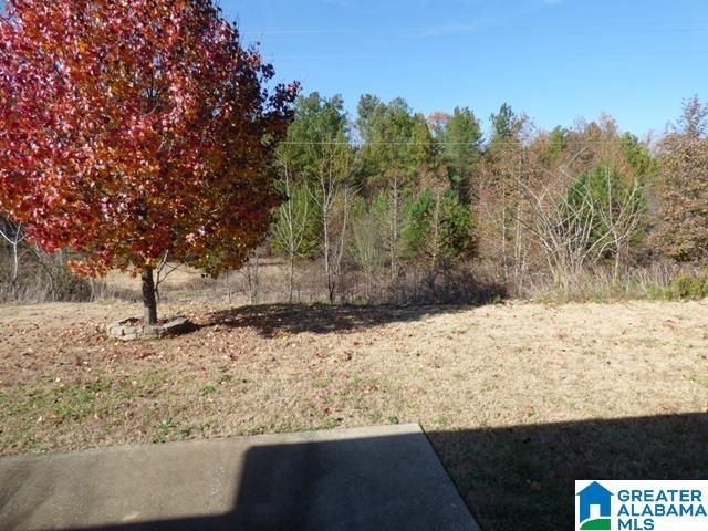 4124 OLD CAHABA PARKWAY, Helena, AL 35080