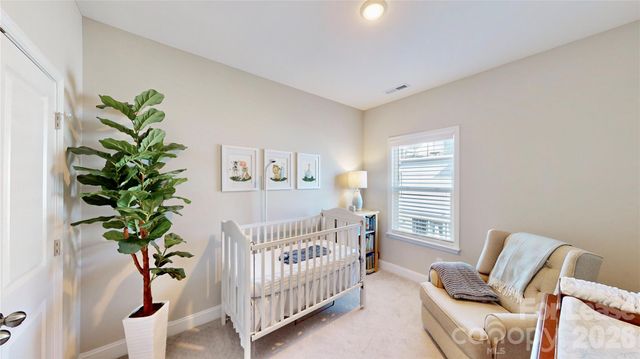 421 Grey Reagan Trail, Charlotte, NC 28211