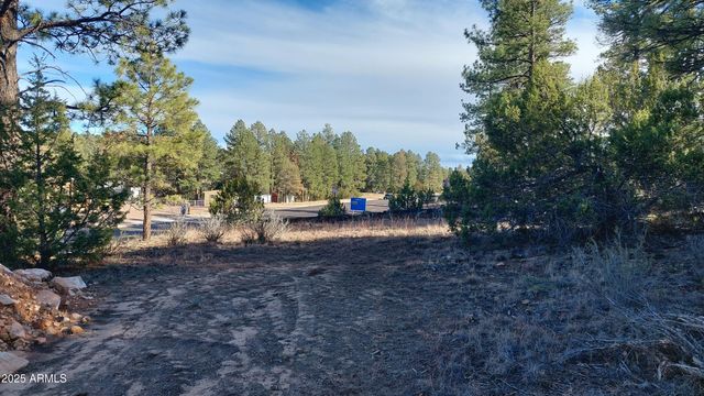 1915 AZ-260 -- 178, Overgaard, AZ 85933