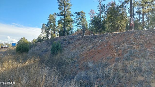 1915 AZ-260 -- 178, Overgaard, AZ 85933