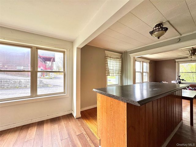 8 Forest Hills Avenue, Catskill, NY 12414