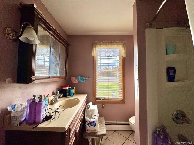 8 Forest Hills Avenue, Catskill, NY 12414