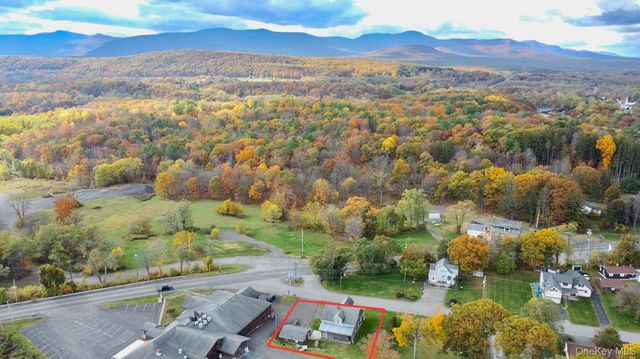 8 Forest Hills Avenue, Catskill, NY 12414