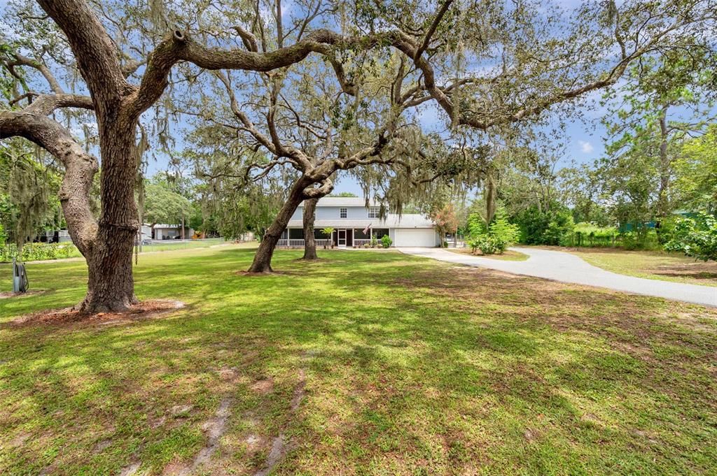 11324 BLACK WALNUT STREET, Hudson, FL 34669