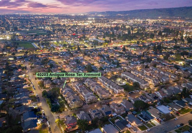 40203 Antigua Rose Ter, Fremont, CA 94538